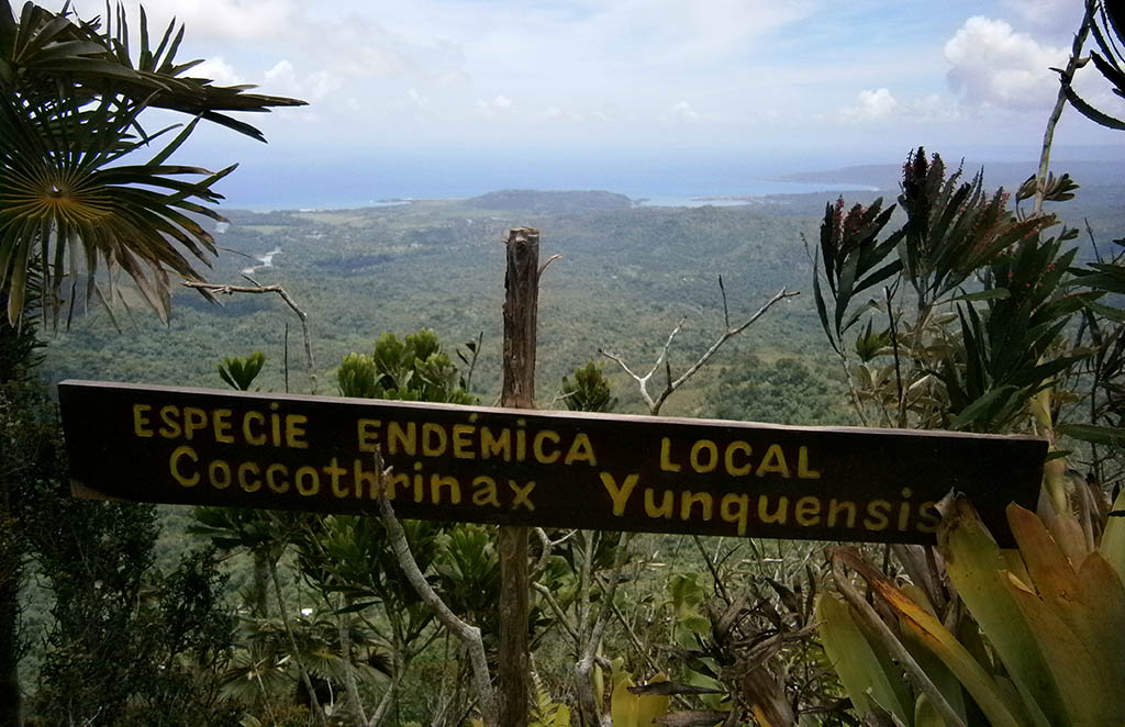 Baracoa 12