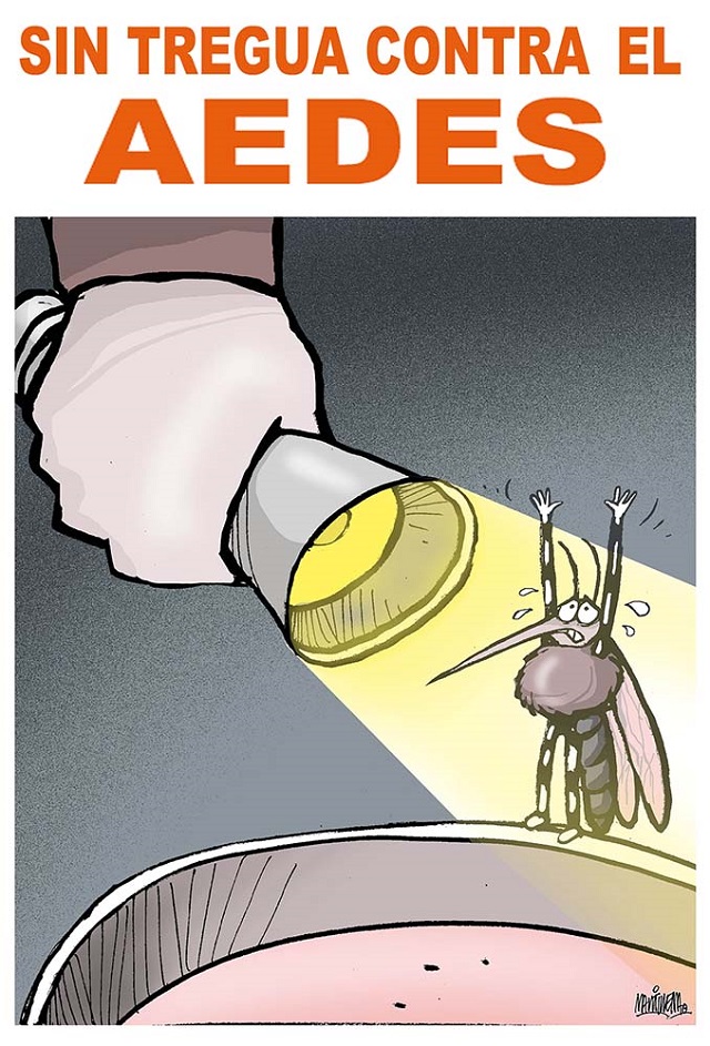 Sin tregua contra el aedes Sin tregua contra el aedes