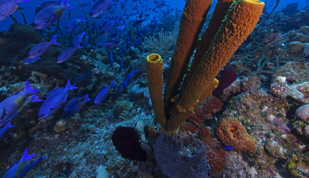 Se amarra el turismo en Cuba