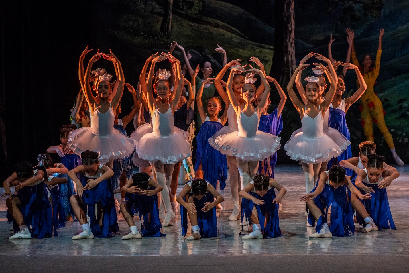 Escuela Nacional de Ballet Fernando Alonso